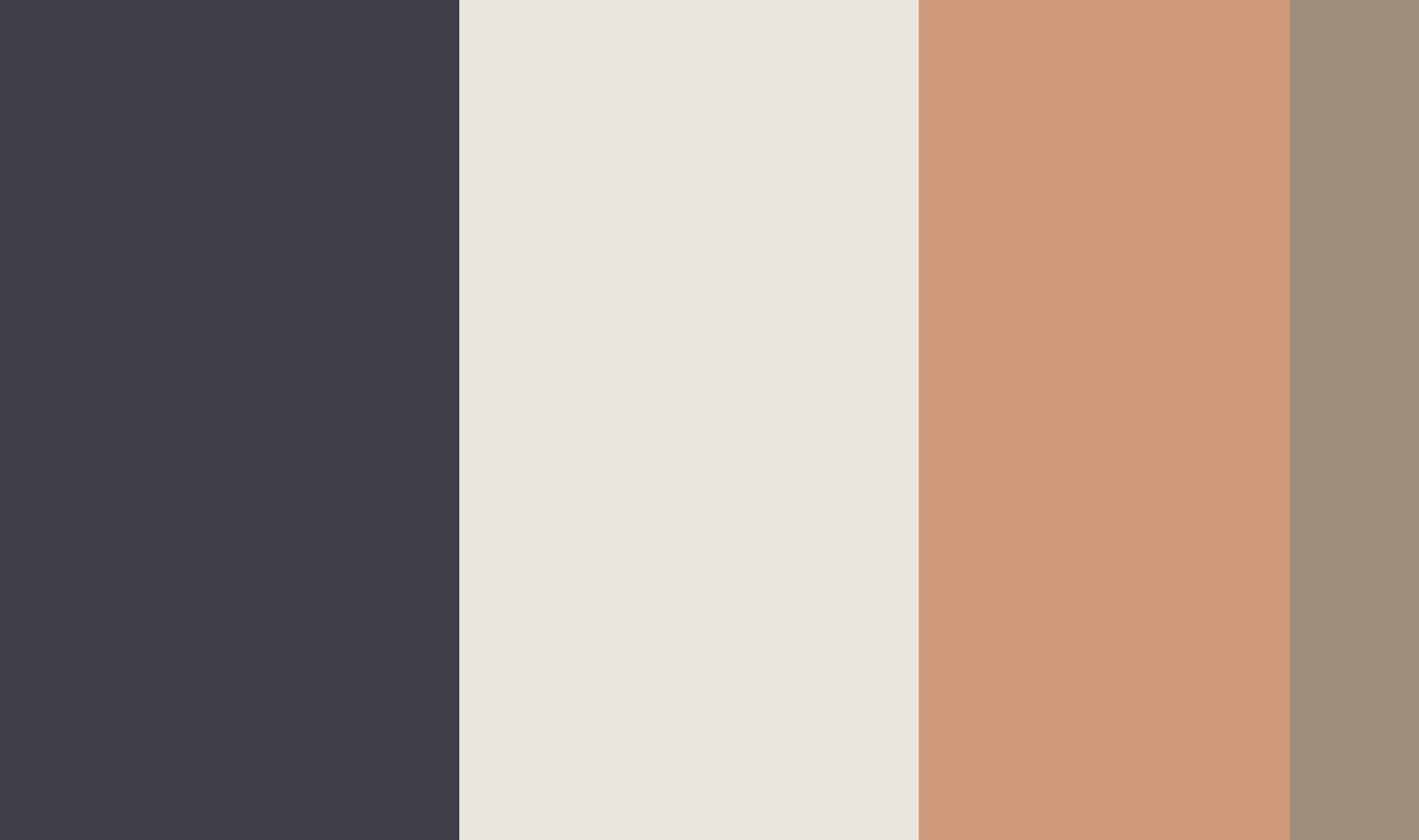 Antares Advertising - Projekt Desina - Grafik zeigt die Farbwelt der Marke bestehend aus einem dunklen Blau, Beige, Rose und einem warmen Braun